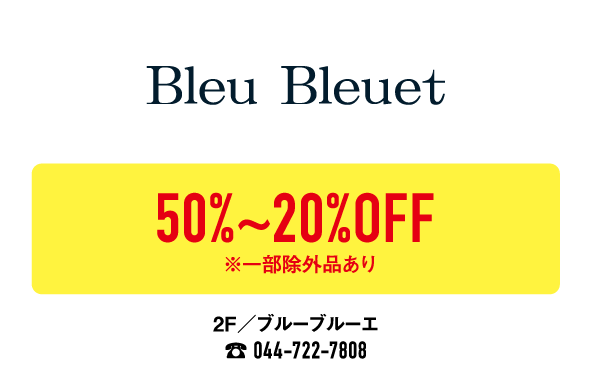 BleuBleuet