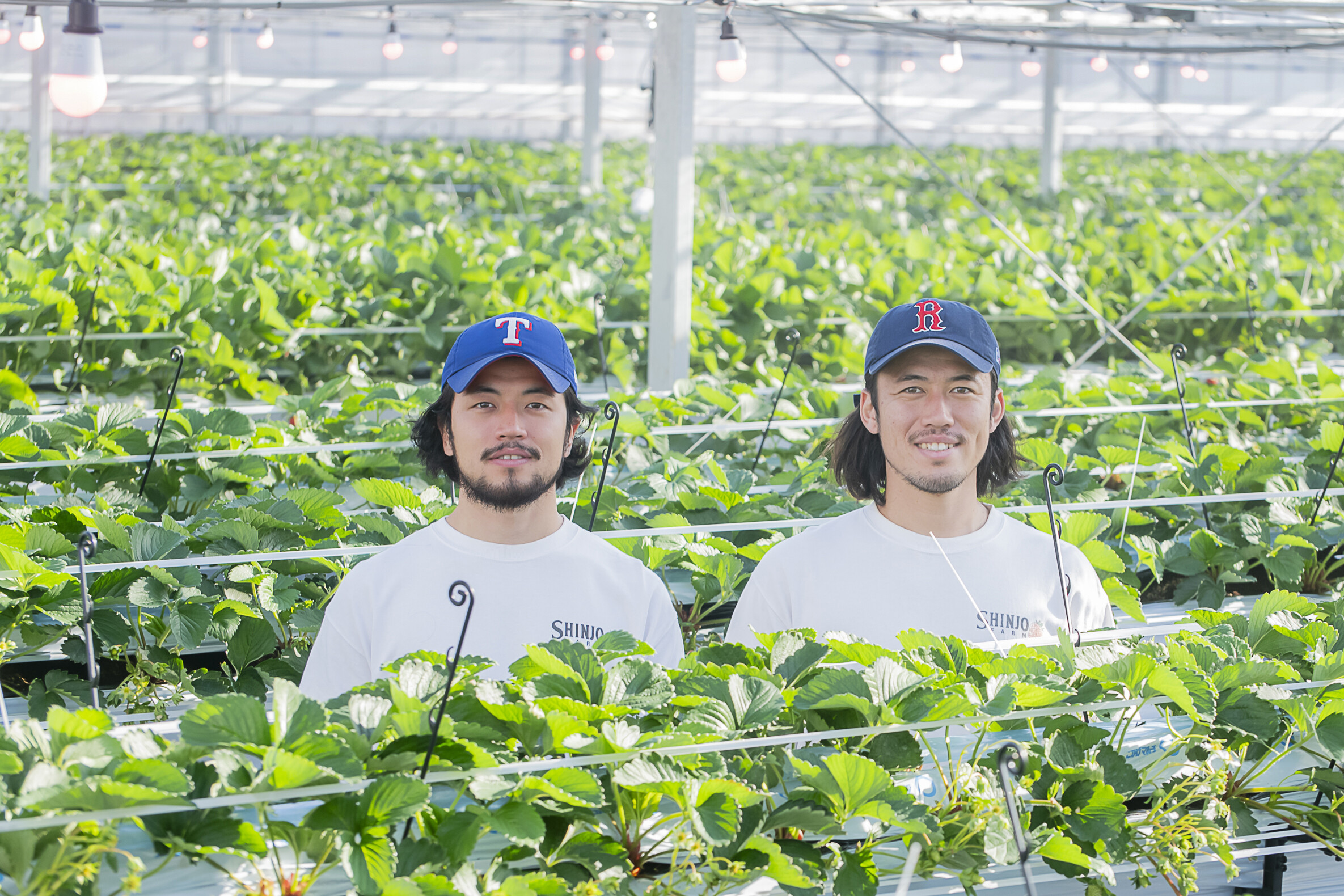 新城ファーム 井上兄弟 | コスギーズ | この街大スキ武蔵小杉