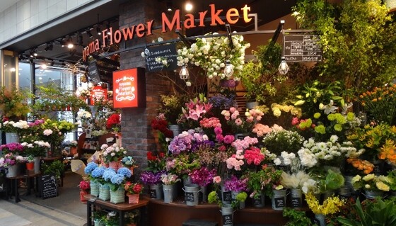 青山フラワーマーケット ショップ詳細 武蔵小杉東急スクエア