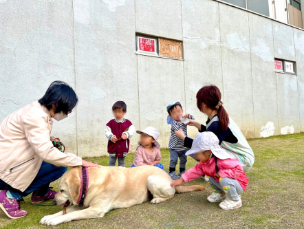 区役所となりの芝生広場でまったりどうぞ。