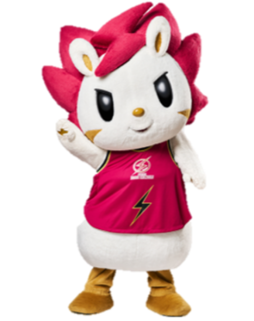 【11月13日（金）～】まちに輝く、サンダースクリスマス