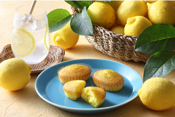🍋【新商品】焼きティラミス瀬戸田リモーネ🍋