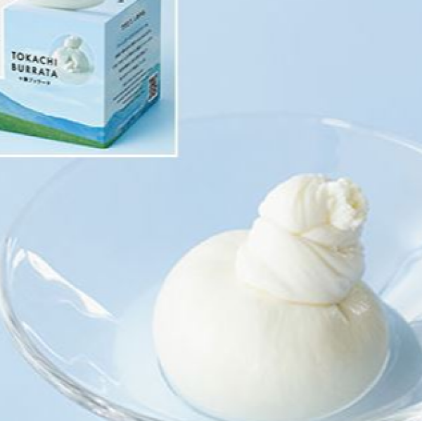 FRESH CHEESE STUDIO