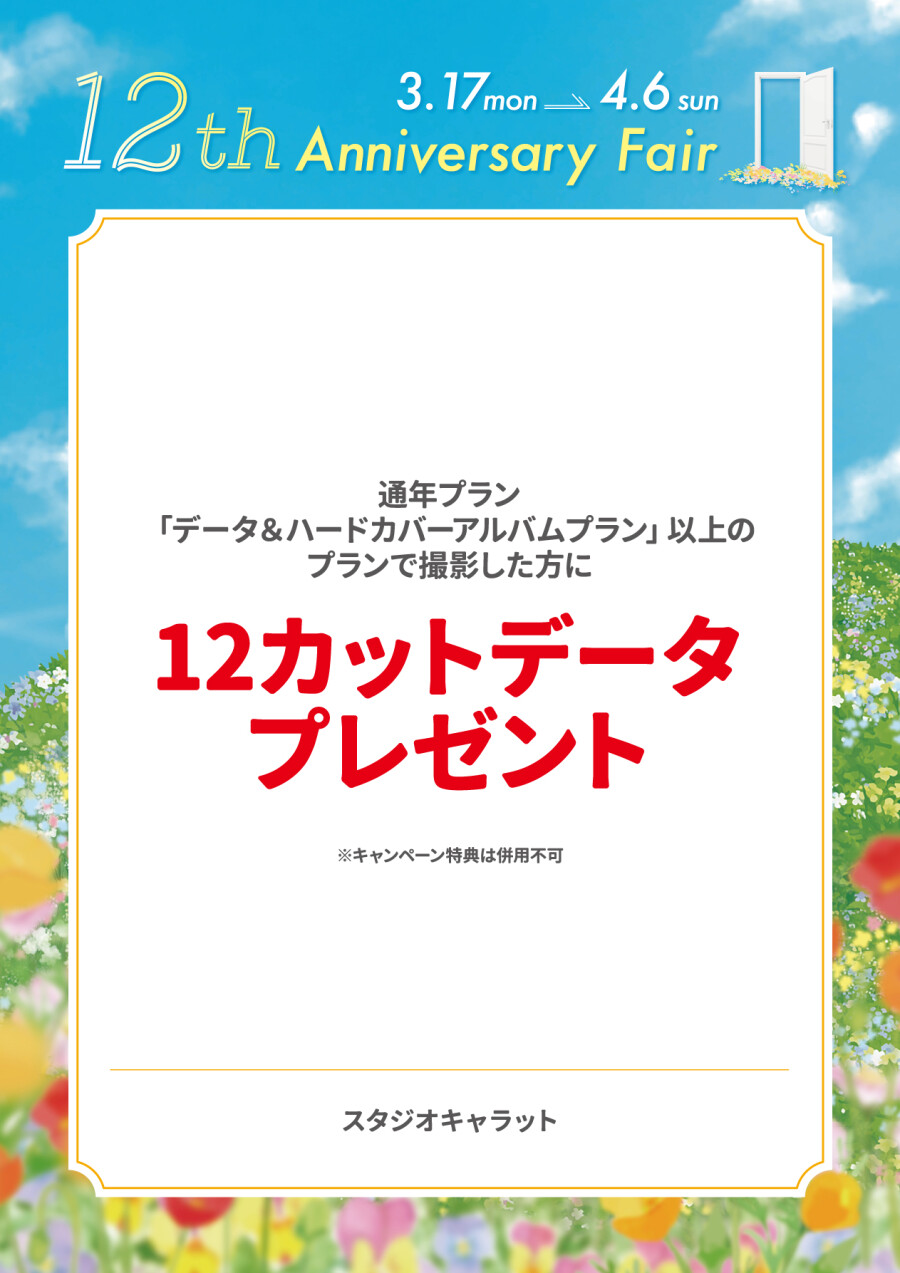 12カットデータプレゼント