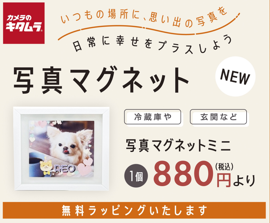 写真マグネット